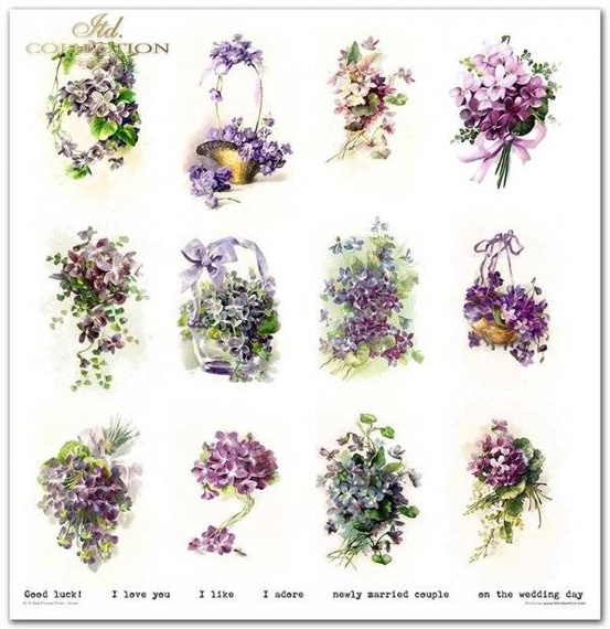 Zestaw papierów do scrapbookingu 30x30 - Itd Collection - Flower Post Violet