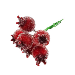 Oszronione owoce głogu na druciku - dekoracja świąteczna - 6 sztuk owoców na 1 gałązce