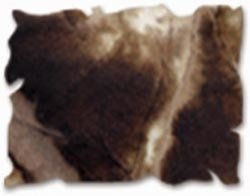 Tusz Distress Ink Pad - Ranger - Tim Holtz - Walnut Stain