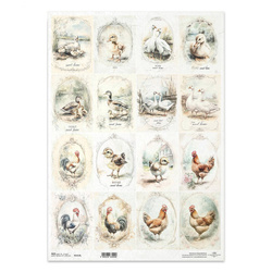 Papier ryżowy do decoupage A3 - kury koguty kaczki gęsi - R1413L - Itd Collection