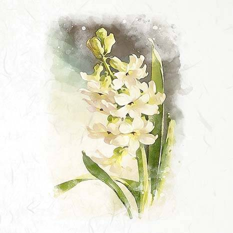 Zestaw papierów ryżowych - ITD RSM073 hiacynty, przebiśniegi, krokusy