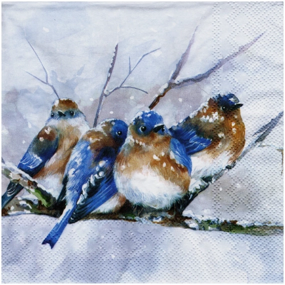 Serwetka 33x33cm - Cuddly Birdies ptaszki