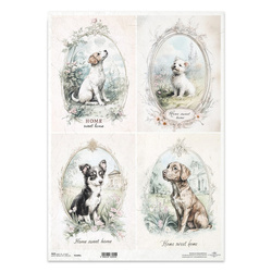 Papier ryżowy do decoupage A3 - psy - R14015L - Itd Collection
