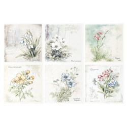 Zestaw papierów ryżowych - kwiaty, przebiśnieg, zawilec, firletka poszarpana, komonica zwyczajna, przylaszczka, miodunka - RSM172 - Itd Collection