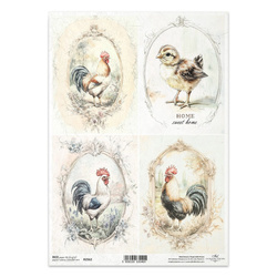 Papier ryżowy do decoupage A4 - koguty w ramkach wiejskie klimaty - R2562 - Itd Collection