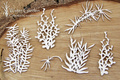 Tekturka - Water plants set 02 - rośliny wodne zestaw 02 - Scrapiniec