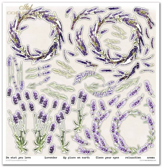 Zestaw papierów do scrapbookingu 30x30 - Itd Collection - Provence scented with lavender