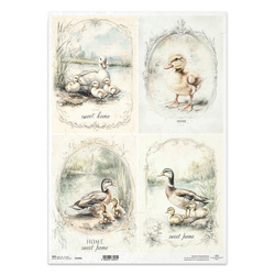 Papier ryżowy do decoupage A3 - kaczki kaczuszki - R1403L - Itd Collection