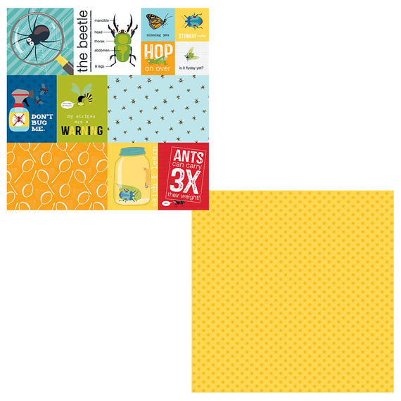 Papier do scrapbookingu  30x30 - Bella Blvd - Daily Details