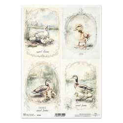Papier ryżowy do decoupage A4 - kaczki kaczuszki - R2564 - Itd Collection