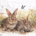 Serwetka 33x33cm - Bunny and Clyde króliki zające