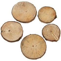 Plastry drewna 40g - 4-7 szt.
