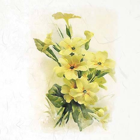 Zestaw papierów ryżowych - ITD RSM073 hiacynty, przebiśniegi, krokusy