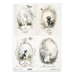 Papier ryżowy do decoupage A3 - koty w ramkach - R1406L - Itd Collection
