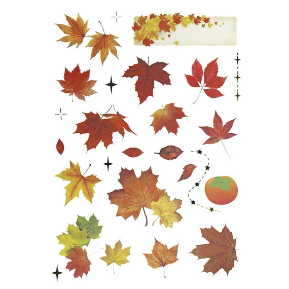 Naklejki foliowe - Liście, grzyby, wiewiórki