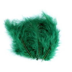 Piórka  strusie zielone 9-16cm