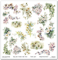 Zestaw papierów do scrapbookingu 30x30 - Itd Collection - Flower Post - White
