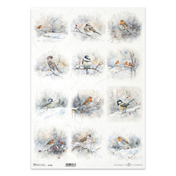 Papier ryżowy do decoupage A3 - zimowe ptaki, rudzik, sikorka, wróbel - R1330L - Itd Collection