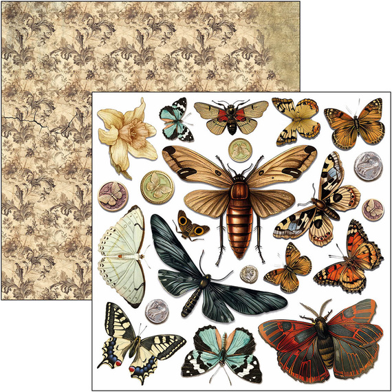 Zestaw papierów 15x15cm - Ciao Bella - Cabinet of curiosities