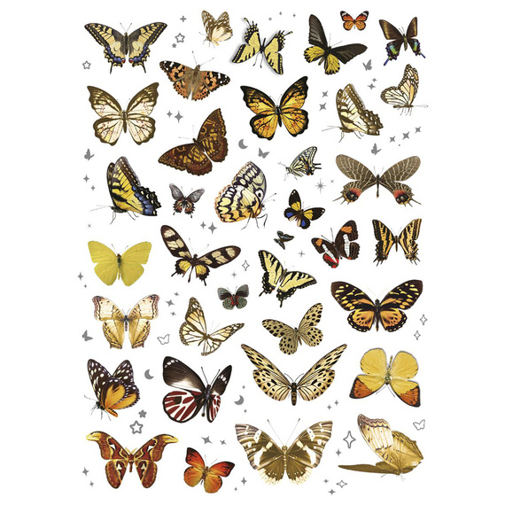 Naklejki foliowe - Żółte motylki i kwiaty