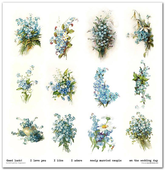 Zestaw papierów do scrapbookingu 30x30 - Itd Collection - Flower Post - Forget me not