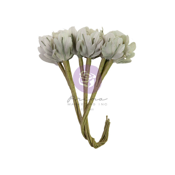 Kwiaty - Prima - Lost in Wonderland Timeless Tales