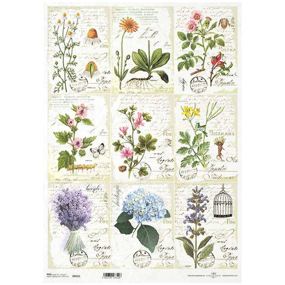 Papier ryżowy do decoupage A3 ITD-922L zioła herbarium