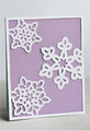 Wykrojnik - Birch Press Design - Shimmer Snowflake Frame