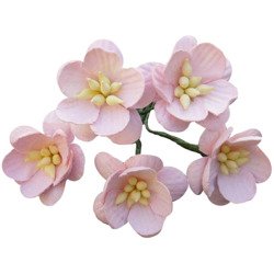 Kwiaty wiśni - blado-różowe - 50szt
