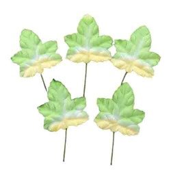 Liście klonu zielono-białe - 100szt