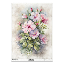 Papier ryżowy do decoupage A4 ITD-R2466 hibiskus