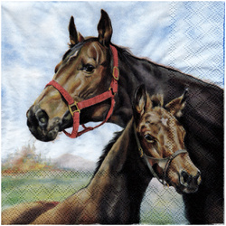 Serwetka do decoupage 33x33cm - Horse love konie