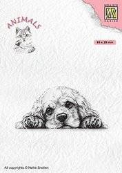 Stempel - Nellie`s - ANI022 pies spaniel