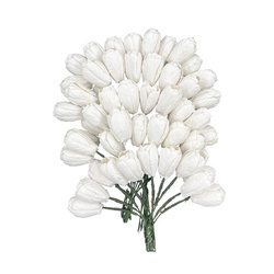 Tulipany - białe - 50szt