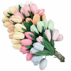 Tulipany - mix pastelowy  - 50szt