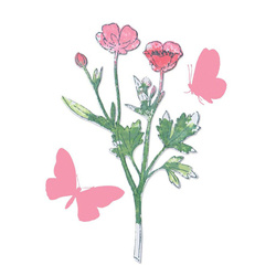 Wykrojnik Sizzix Framelits + stemple - Painted Pencil Botanical by 49 and Market