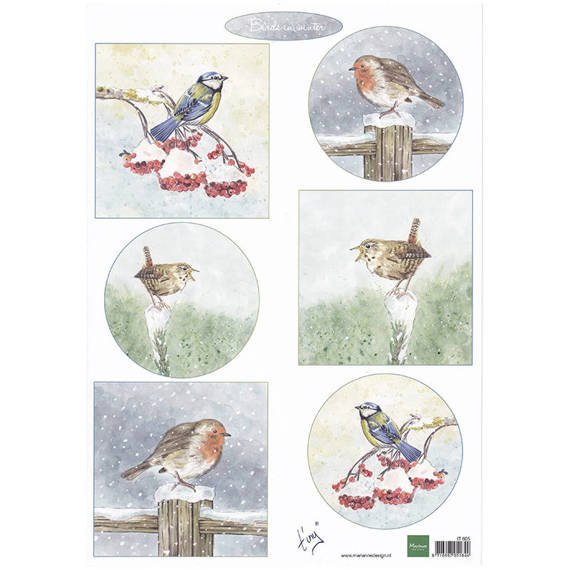 Arkusz A4 - Marianne Design - Tiny's birds in winter - ptaszki
