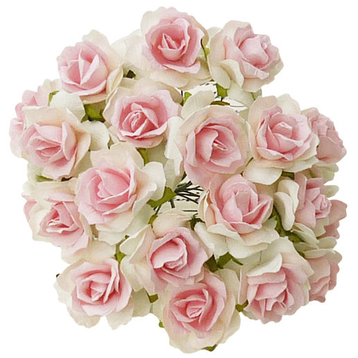 Dzikie róże - białe z różowym środkiem (30mm) - 50szt