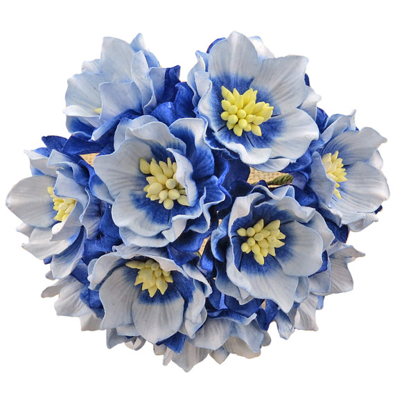 Kwiat lotosu dwu-tonowy szafirowo-niebieski - 25szt