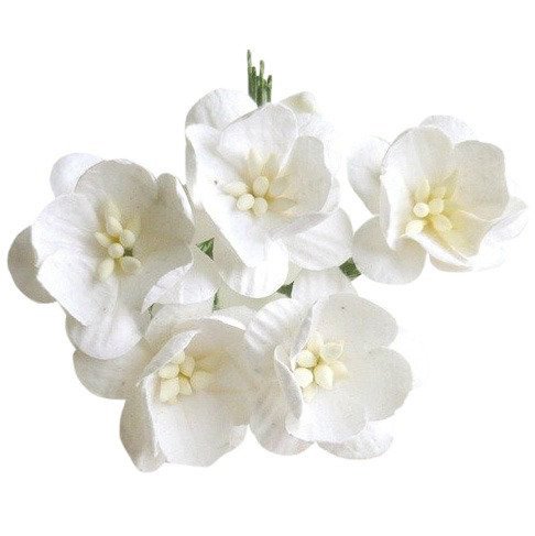 Kwiaty wiśni białe - 50szt