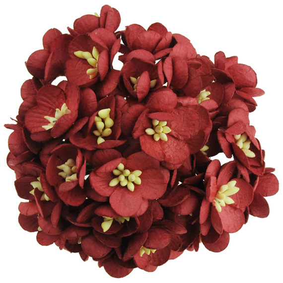 Kwiaty wiśni ciemno czerwone - 50szt