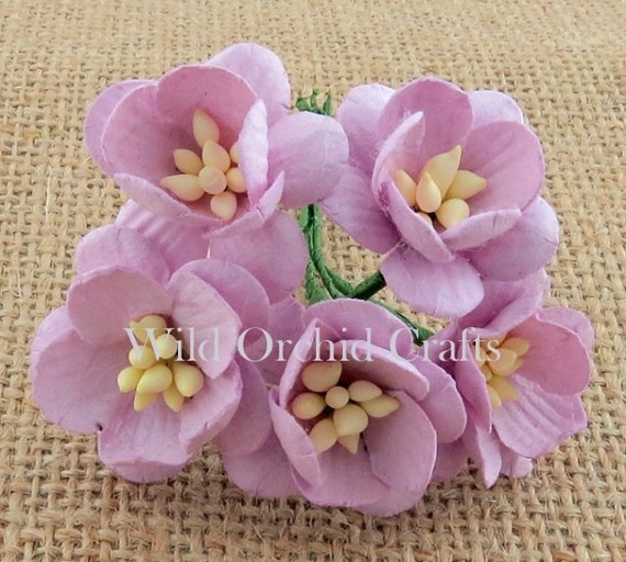 Kwiaty wiśni liliowe - 50szt