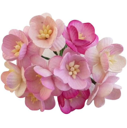 Kwiaty wiśni - mix różowy - 50szt