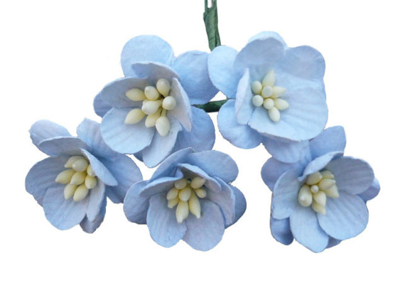 Kwiaty wiśni - niebieskie - 50szt