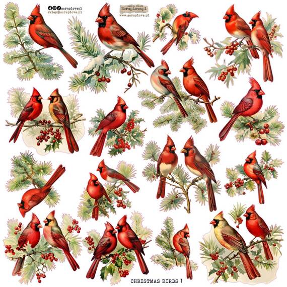 Naklejki - ScrapLove - Christmas birds