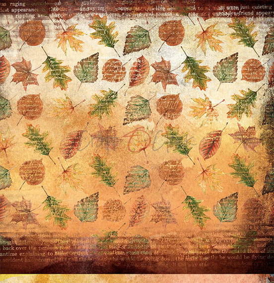 Papier 30,5x30,5 - Craft o'clock - Autumn Moods 06