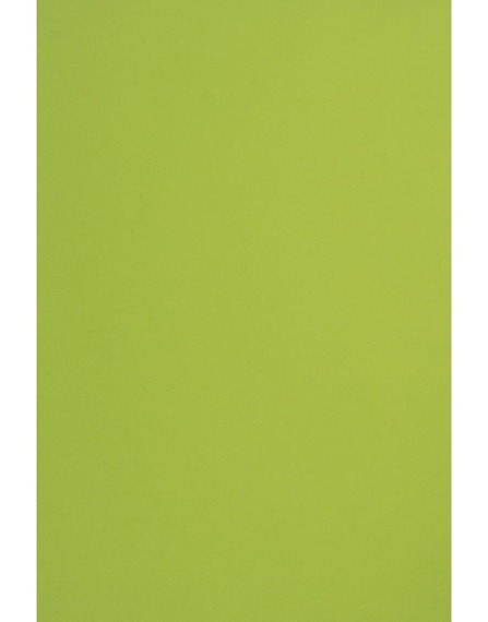 Papier A4 Sirio Color 210g Lime 25ark