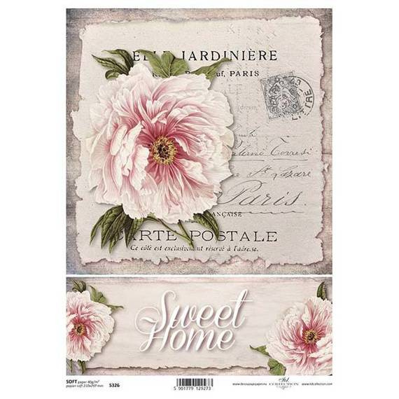 Papier decoupage A4 SOFT ITD-S0326 peonia