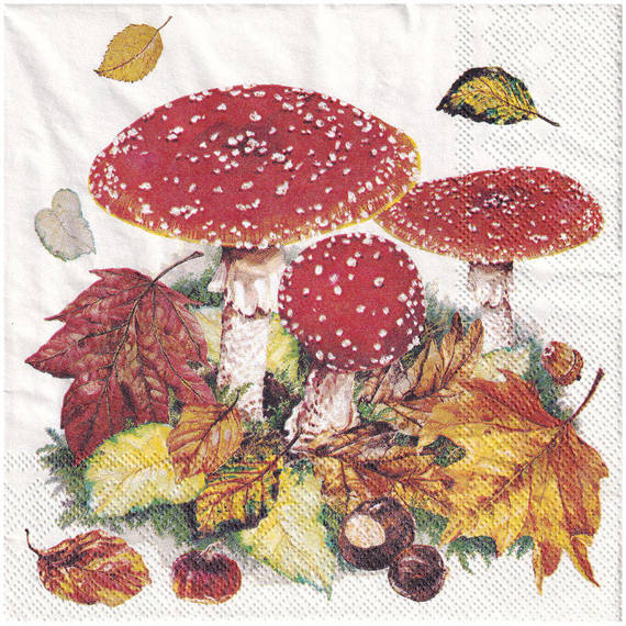 Serwetka 33x33cm - Fly Agaric muchomory