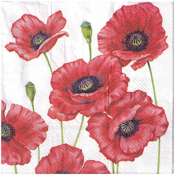 Serwetka 33x33cm -  Romantic Poppy maki